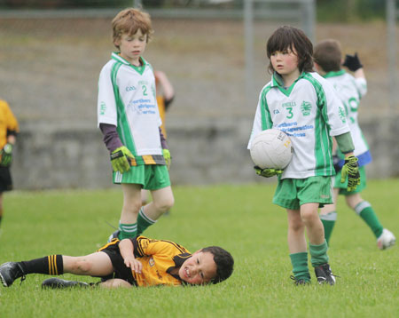 The Aodh Ruadh under 8 team which competed at the Ballyshannon blitz.