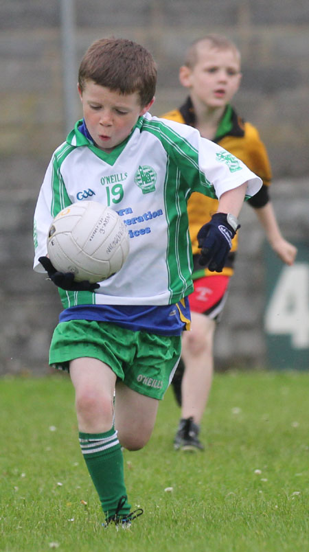 The Aodh Ruadh under 8 team which competed at the Ballyshannon blitz.