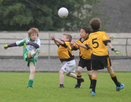 The Aodh Ruadh under 8 team which competed at the Ballyshannon blitz.