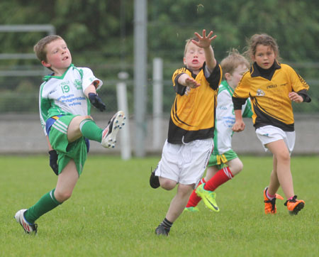 The Aodh Ruadh under 8 team which competed at the Ballyshannon blitz.