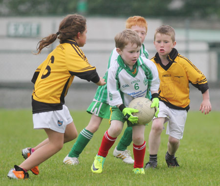 The Aodh Ruadh under 8 team which competed at the Ballyshannon blitz.