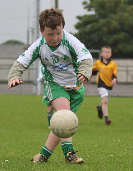 The Aodh Ruadh under 8 team which competed at the Ballyshannon blitz.