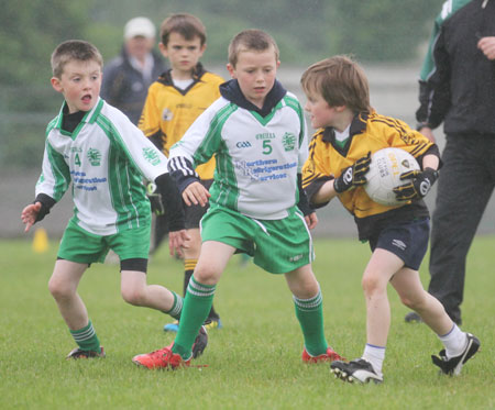 The Aodh Ruadh under 8 team which competed at the Ballyshannon blitz.