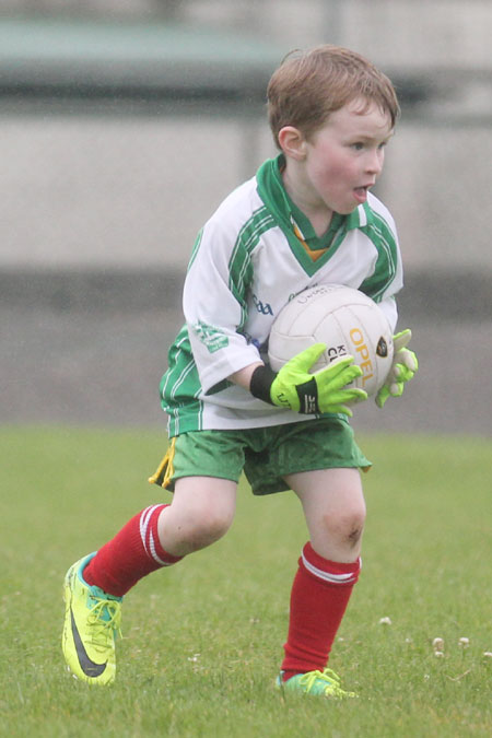 The Aodh Ruadh under 8 team which competed at the Ballyshannon blitz.