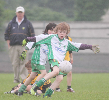 The Aodh Ruadh under 8 team which competed at the Ballyshannon blitz.