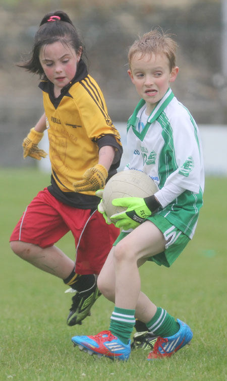 The Aodh Ruadh under 8 team which competed at the Ballyshannon blitz.