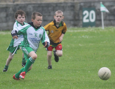 The Aodh Ruadh under 8 team which competed at the Ballyshannon blitz.