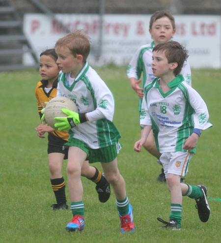 The Aodh Ruadh under 8 team which competed at the Ballyshannon blitz.