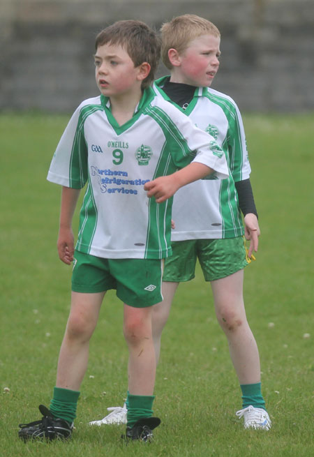 The Aodh Ruadh under 8 team which competed at the Ballyshannon blitz.