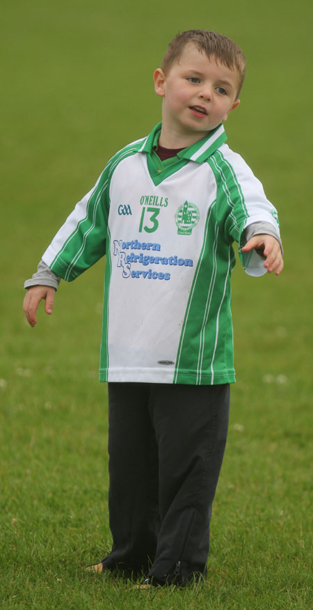 The Aodh Ruadh under 8 team which competed at the Ballyshannon blitz.