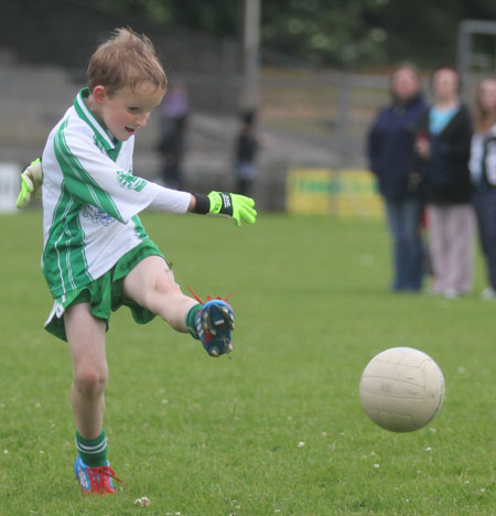 The Aodh Ruadh under 8 team which competed at the Ballyshannon blitz.