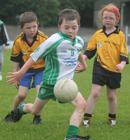 The Aodh Ruadh under 8 team which competed at the Ballyshannon blitz.