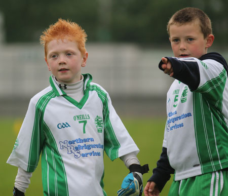 The Aodh Ruadh under 8 team which competed at the Ballyshannon blitz.