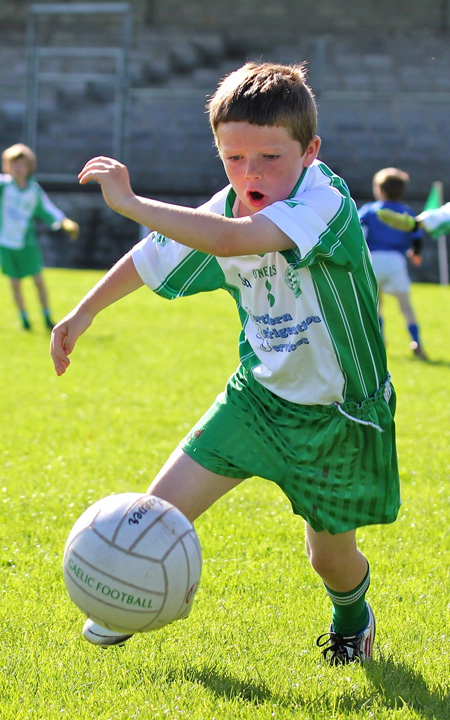 Action from th under 8 team blitz in Father Tierney Park.