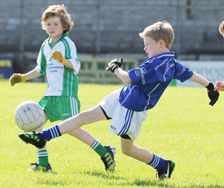 Action from th under 8 team blitz in Father Tierney Park.