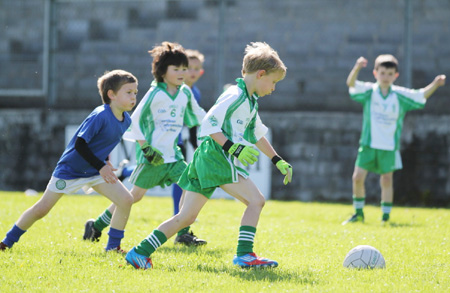 Action from th under 8 team blitz in Father Tierney Park.