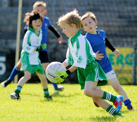 Action from th under 8 team blitz in Father Tierney Park.