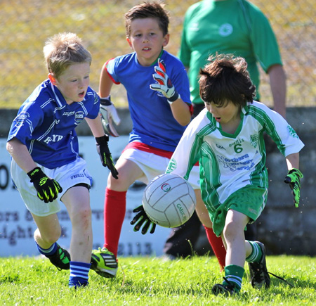 Action from th under 8 team blitz in Father Tierney Park.