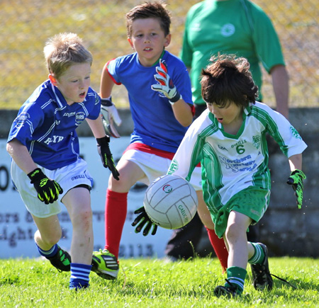 Action from th under 8 team blitz in Father Tierney Park.