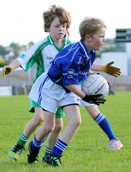 Action from th under 8 team blitz in Father Tierney Park.