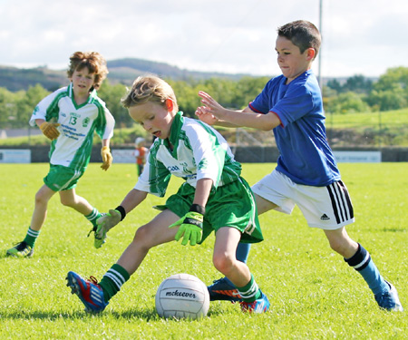 Action from th under 8 team blitz in Father Tierney Park.