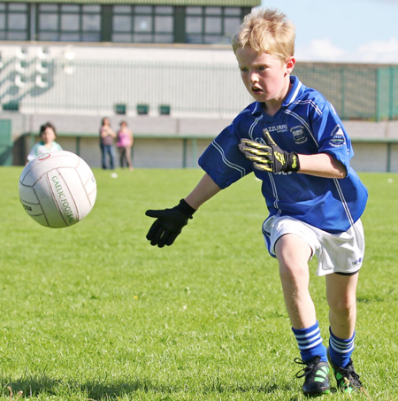 Action from th under 8 team blitz in Father Tierney Park.