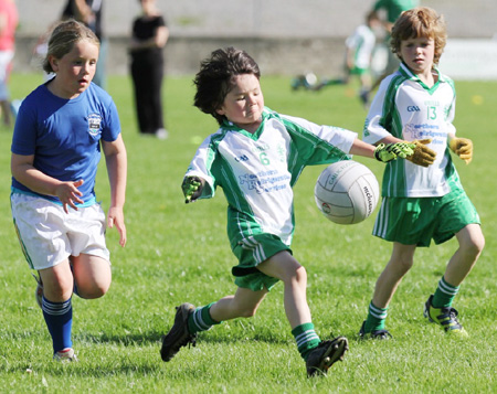 Action from th under 8 team blitz in Father Tierney Park.