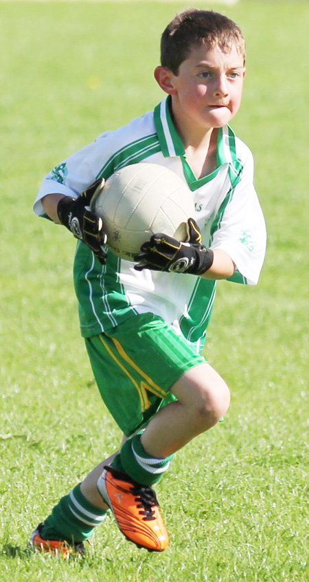 Action from th under 8 team blitz in Father Tierney Park.