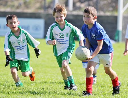 Action from th under 8 team blitz in Father Tierney Park.