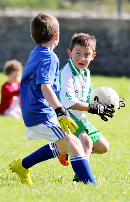 Action from th under 8 team blitz in Father Tierney Park.