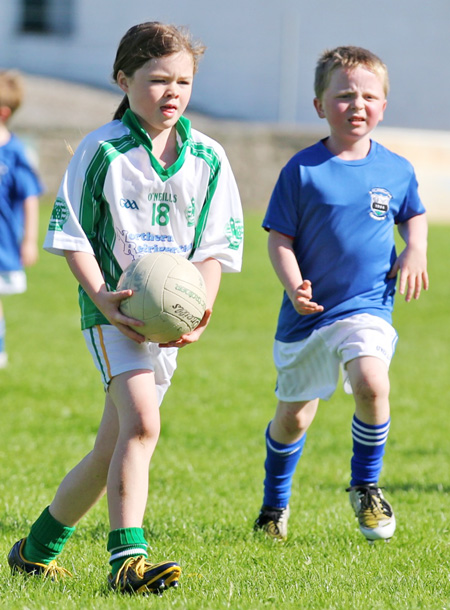 Action from th under 8 team blitz in Father Tierney Park.