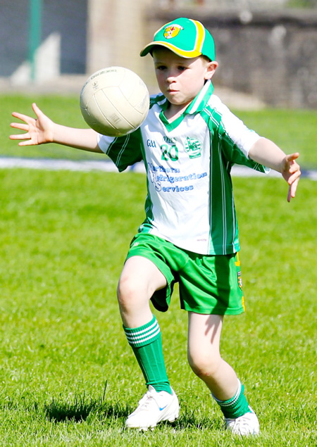 Action from th under 8 team blitz in Father Tierney Park.