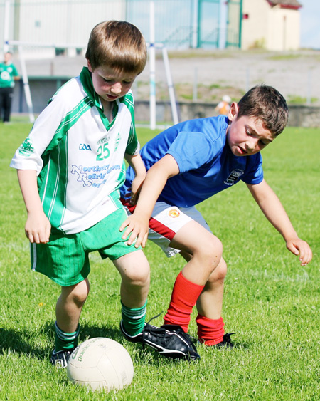 Action from th under 8 team blitz in Father Tierney Park.