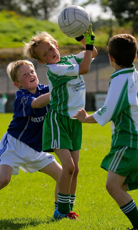 Action from th under 8 team blitz in Father Tierney Park.