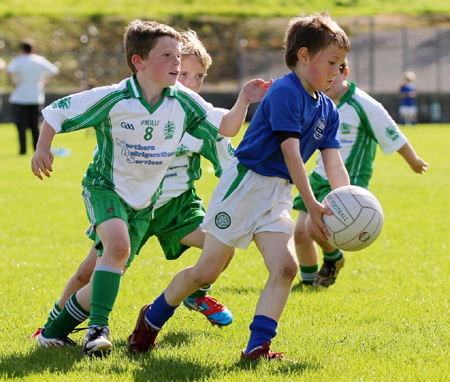 Action from th under 8 team blitz in Father Tierney Park.