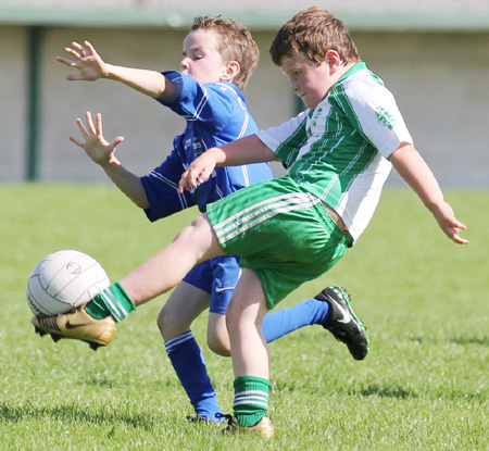 Action from th under 8 team blitz in Father Tierney Park.