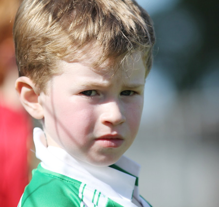 Action from th under 8 team blitz in Father Tierney Park.