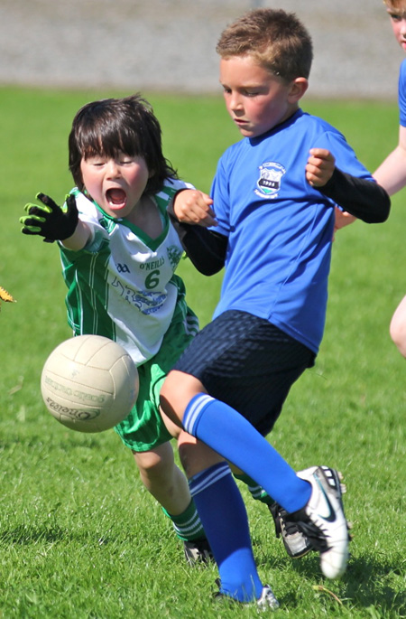 Action from th under 8 team blitz in Father Tierney Park.