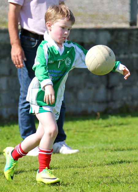 Action from th under 8 team blitz in Father Tierney Park.