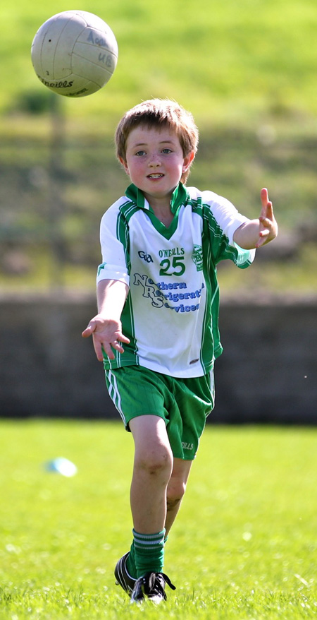 Action from th under 8 team blitz in Father Tierney Park.