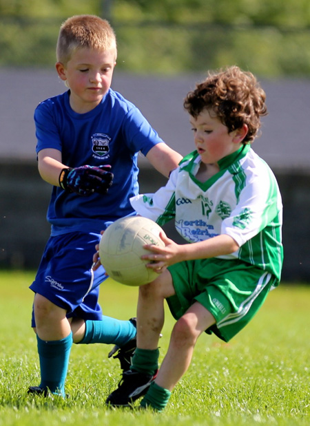 Action from th under 8 team blitz in Father Tierney Park.