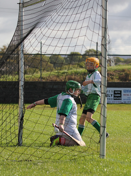 Action from the Aodh Ó Dlaigh tournament in Father Tierney Park.