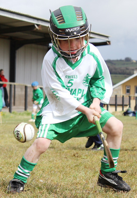 Action from the under 8 blitz at Setanta.