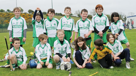 Action from the under 10 hurling blitz in Donegal town.