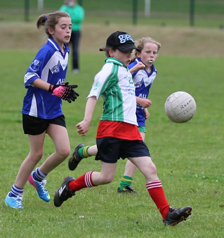 Action from the ladies under 10 and under 8 match between Aodh Ruadh and Four Masters.