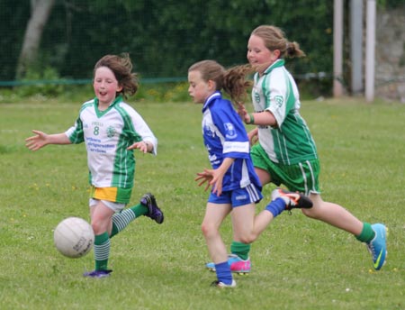 Action from the ladies under 10 and under 8 match between Aodh Ruadh and Four Masters.