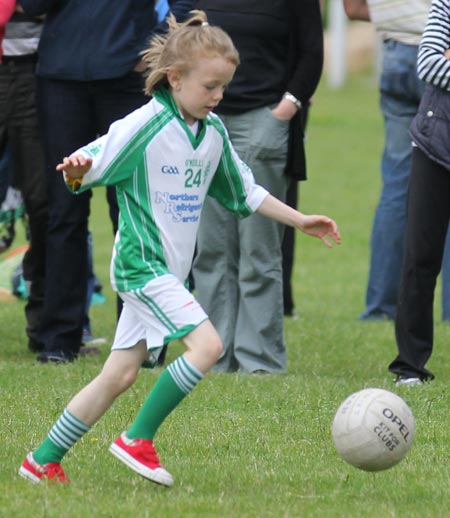 Action from the ladies under 10 and under 8 match between Aodh Ruadh and Four Masters.