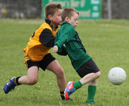 Action from the under 8 blitz in Father Tierney Park.