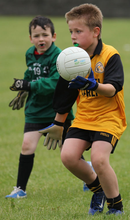 Action from the under 8 blitz in Father Tierney Park.