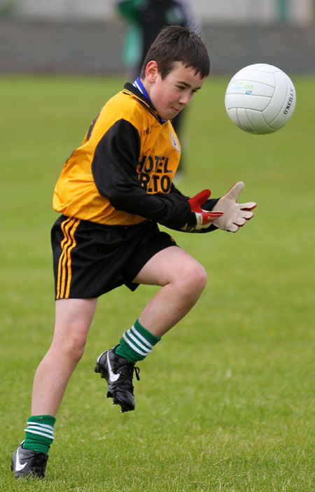 Action from the under 8 blitz in Father Tierney Park.